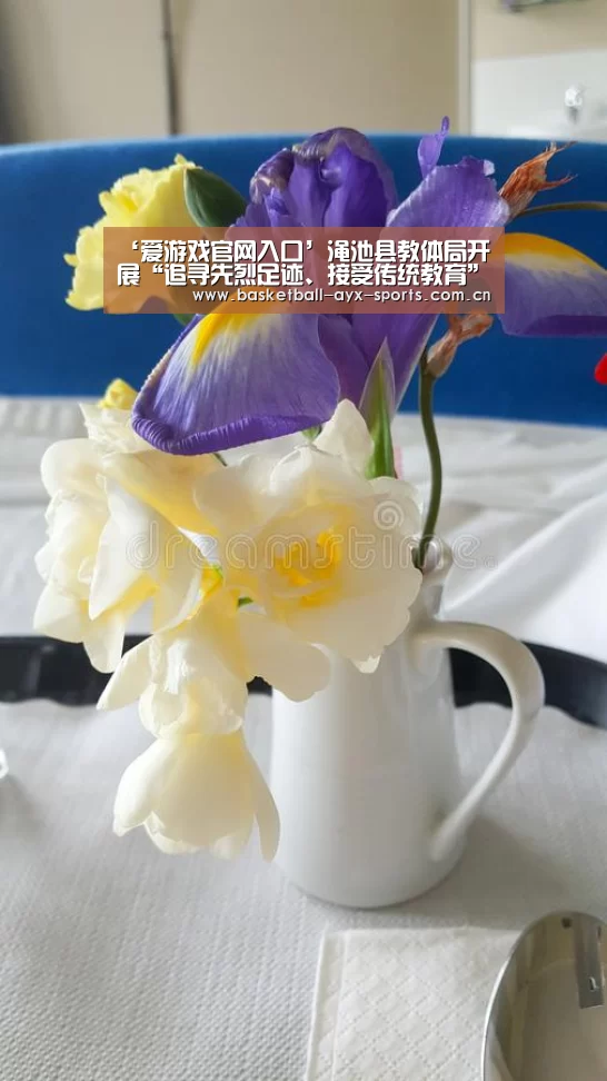 爱游戏官网入口
